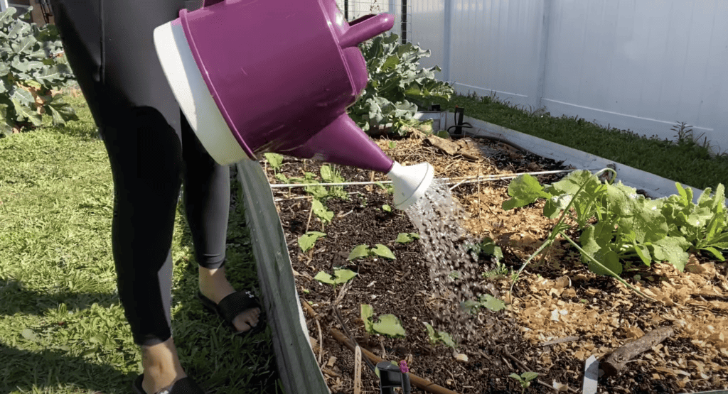 hand watering garden